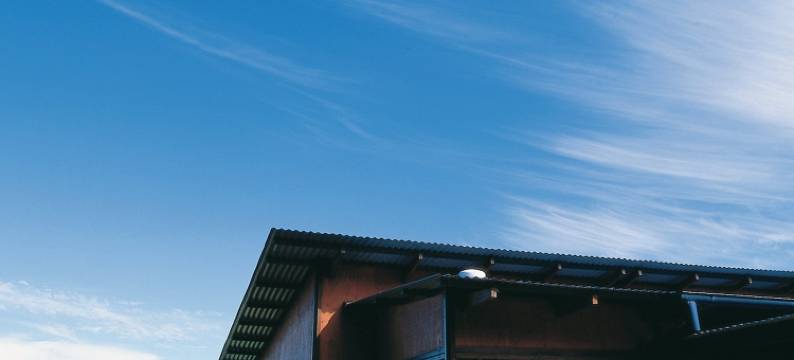 欧雷伊里雨林度假村(O'Reilly's Rainforest Retreat)图片