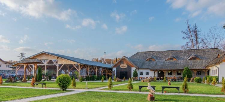 锡比乌希尔顿酒店(Hilton Sibiu)图片