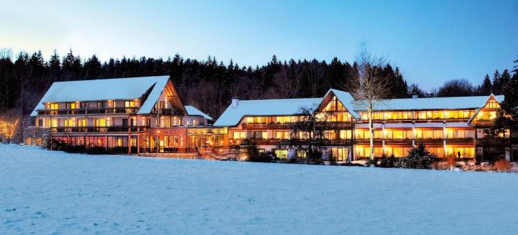 格鲁纳森林酒店(Hotel Grüner Wald)图片