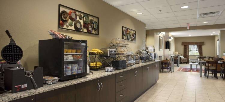 卡罗尔顿麦客达套房酒店(Microtel Inn & Suites by Wyndham Carrollton)图片