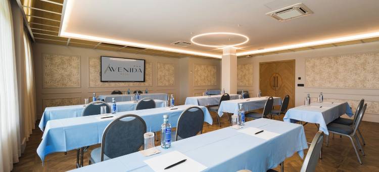 阿维尼达酒店(Hotel Avenida)图片