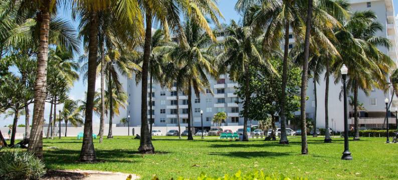 海洋漫步 335 公寓酒店(335 Ocean Walk Apartments)图片