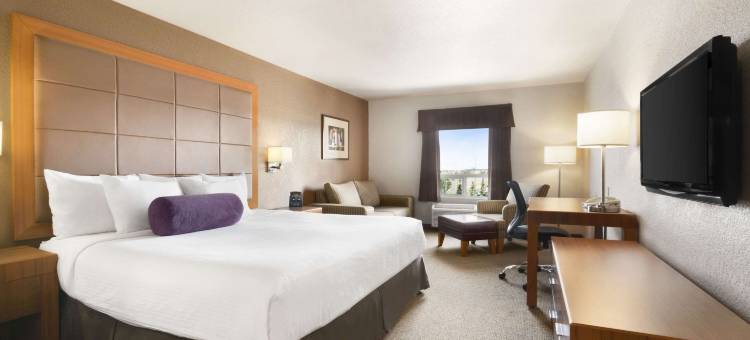卡尔加里机场温德姆戴斯酒店(Days Inn by Wyndham Calgary Airport)图片