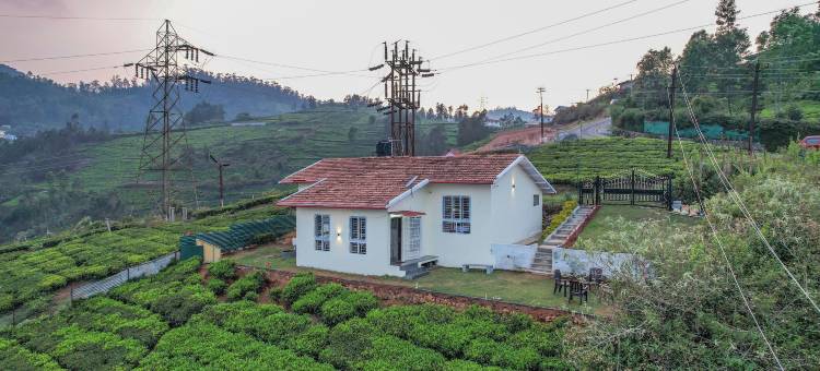 尼尔吉里斯温泉(The Springs Nilgiris)图片