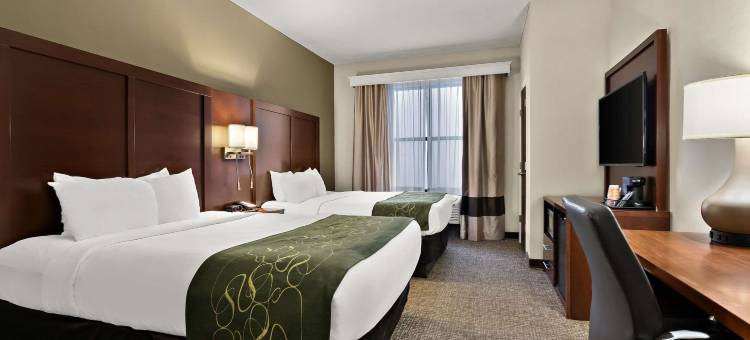 纳什维尔舒适套房酒店(Comfort Suites)图片