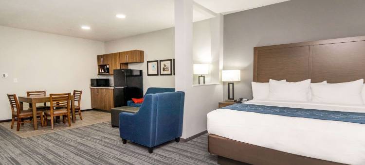 迪索托-达拉斯南舒适套房酒店(Comfort Suites DeSoto Dallas South)图片