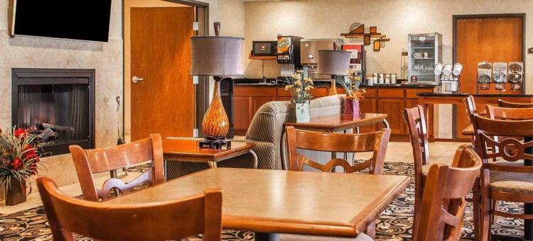格林内尔舒适套房酒店 - 近 I-80(Comfort Inn & Suites Grinnell Near I-80)图片