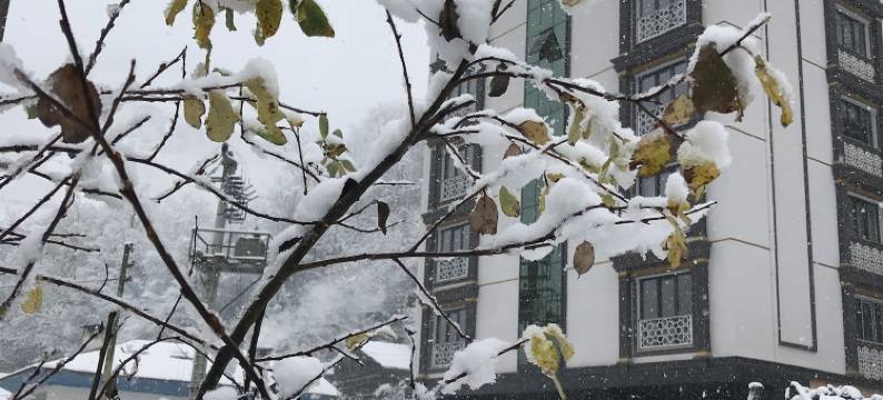 乌尊格尔金色酒店(Golden Inn Hotel Uzungöl)图片