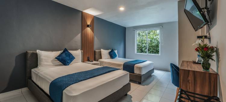 卡萨诺瓦梅尼达酒店(Hotel Casa Nova, Merida)图片