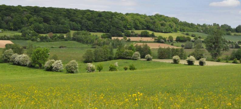 勃朗峰位置客房酒店(Mont Blanc - Locations de Charme)图片