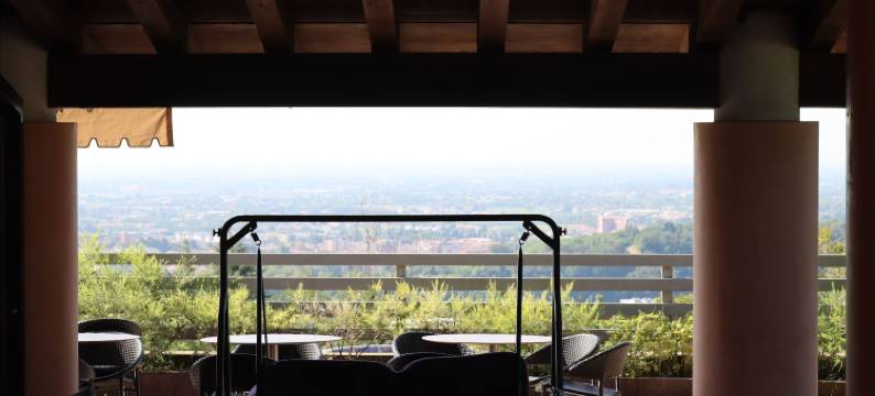 阿拉皮内塔酒店(Albergo Alla Pineta)图片