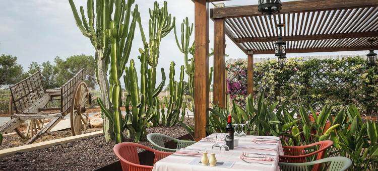 白岛帕拉迪恩大酒店(Grand Palladium White Island Resort & Spa - All Inclusive)图片