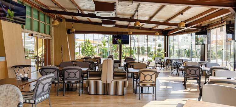 巴勒斯坦拉姆安拉千禧酒店(Millennium Palestine Ramallah)图片