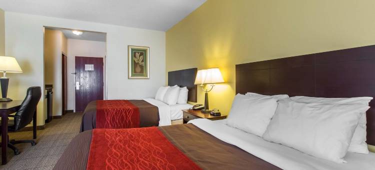 舒适套房酒店(Comfort Inn & Suites)图片