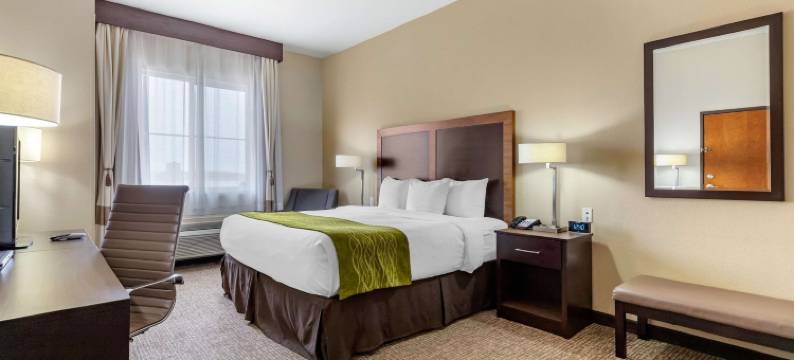 湖畔汽车舒适酒店及套房(Comfort Inn & Suites Lakeside)图片