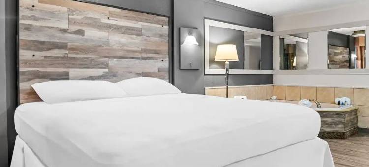 罗德威套房酒店(Rodeway Inn & Suites)图片