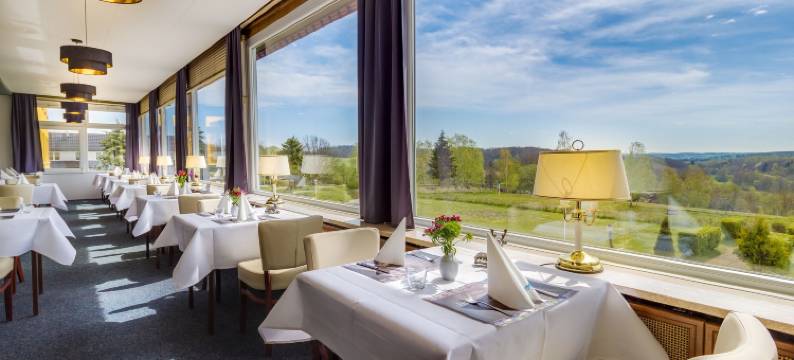 哈兹山全景度假酒店(Panorama Ferien Hotel Harz)图片