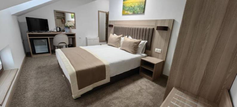 伊夫林豪华之家(Evelin Deluxe House)图片