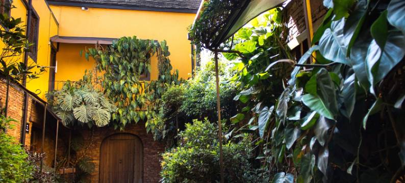 布干威勒酒店(Hotel le Bougainviller)图片