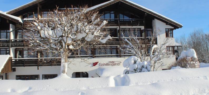 施灵格斯霍夫酒店(Hotel Schillingshof)图片