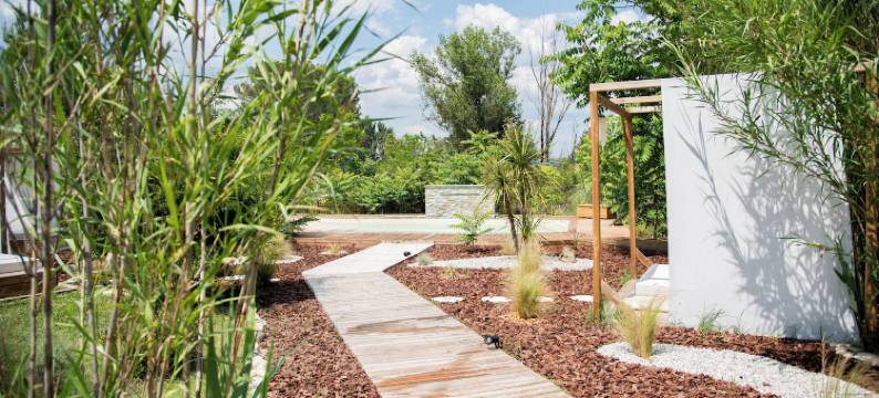 波希米亚之夜(Nuitées Bohèmes)图片