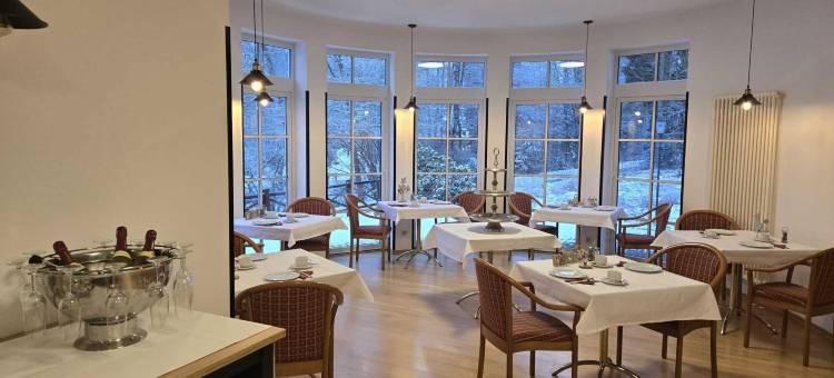 拜德布兰巴赫公园酒店(Parkhotel Bad Brambach)图片