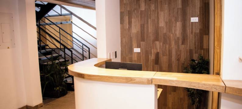 泽尼亚(zenia)图片