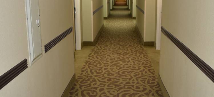 达拉斯-爱田呗盟套房酒店(Baymont by Wyndham Dallas/ Love Field)图片