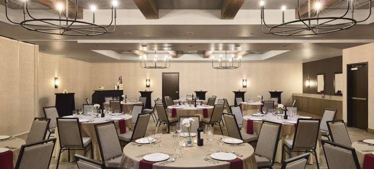 希尔顿启缤精选图森埃迪酒店(The Eddy Hotel Tucson, Tapestry Collection by Hilton)图片