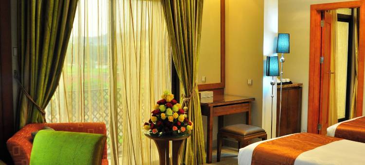 南星国际酒店(South Star International Hotel)图片