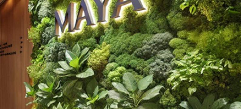 玛雅公寓及套房(Maya Appartements)图片