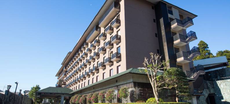 成田爱迪星大酒店(The Hedistar Hotel Narita)图片