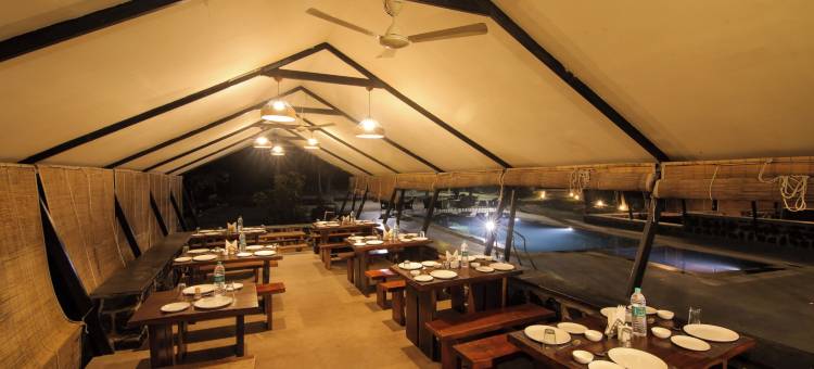 斯普里马蒂丛林度假村(Spree Maati Jungle Resort)图片