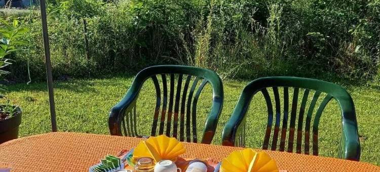 阿列古斯塔(Alie Gusta)图片