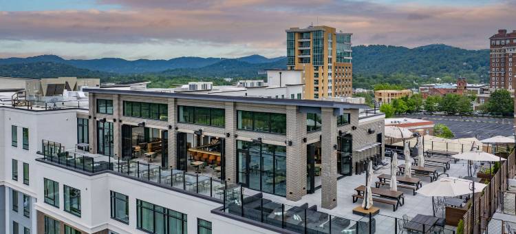 希尔顿使馆套房阿什维尔市中心(Embassy Suites by Hilton Asheville Downtown)图片