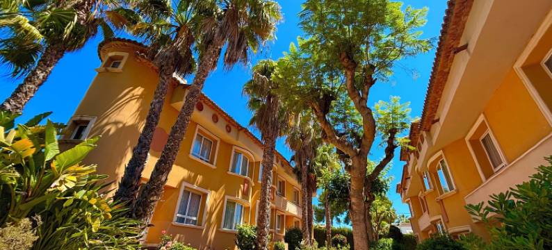 巴伊亚皮诺索公寓式酒店(Aparthotel Bahia Pinosol)图片