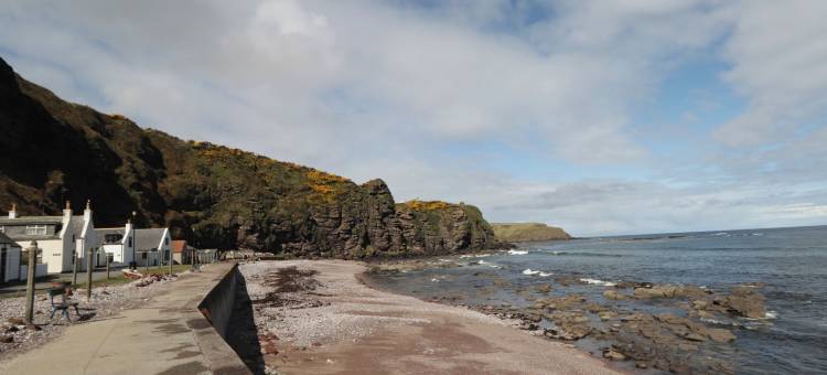 劳雷尔斯(The Laurels)图片