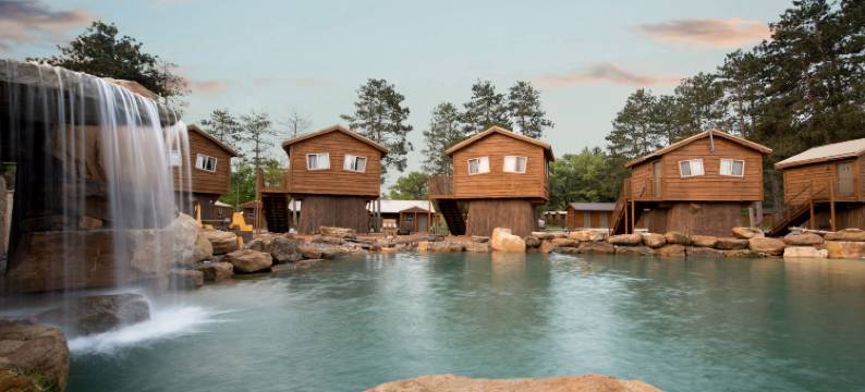 纳图拉崔斯凯普度假村(Natura Treescape Resort)图片