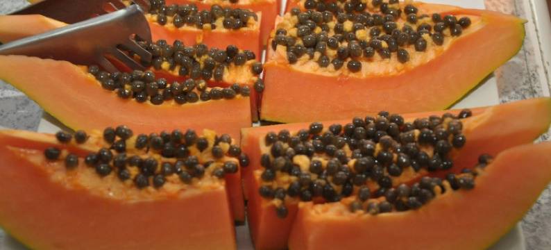 阿姆斯特丹酒店(Hotel Amsterdam)图片