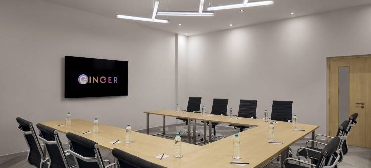 金格尔金奈OMR(Ginger Chennai OMR)图片