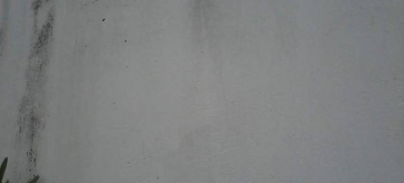 中央家庭旅馆(Casa Central)图片