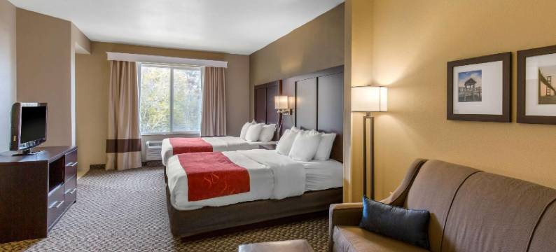 锡福德舒适全套房酒店(Comfort Suites)图片