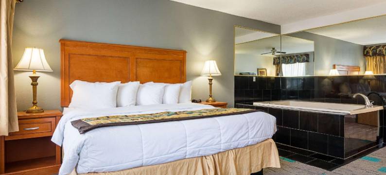 查塔努加贝蒙特旅馆套房酒店(Quality Inn & Suites)图片