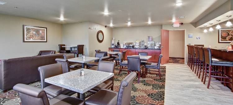 鹅卵石套房酒店 - 普拉斯基/绿湾(Cobblestone Hotel & Suites Pulaski/Green Bay)图片