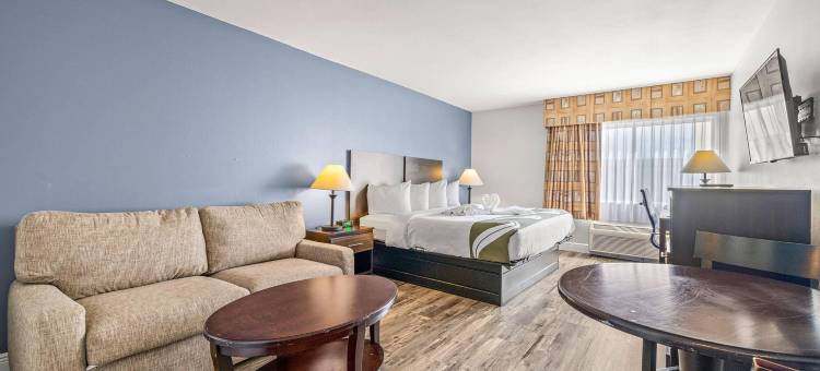 Quality Inn & Suites Tampa Near Fairgrounds and Casino图片
