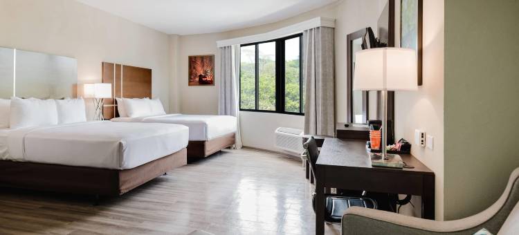 托巴哥的舒适酒店客房和套房(Comfort Inn & Suites Tobago)图片