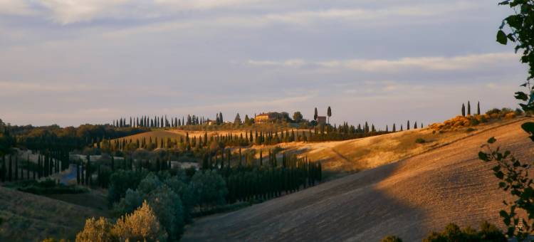 Farmhouse in Tuscany near Siena & Hot Springs图片