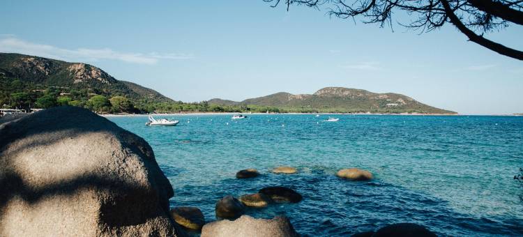 small villa with private pool, Residence Les Terrasses d'Arsella, Porto-Vecchio图片