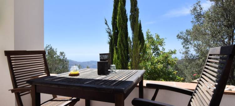 Villa a Sayalonga vicino al mare图片