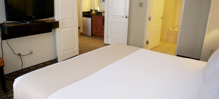 埃芬汉假日酒店(Holiday Inn EFFINGHAM by IHG)图片